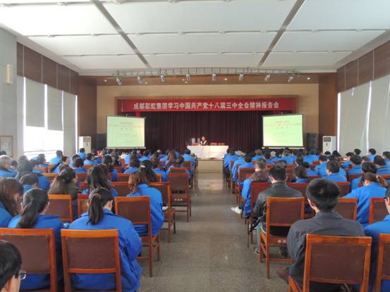 米兰网页版·官方端在线-米兰（中国）集团十三中全会报告会