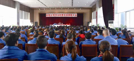 成都米兰网页版·官方端在线-米兰（中国）集团召开2014年度工作总结及表彰大会