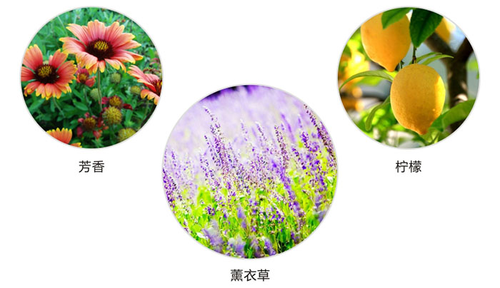 米兰网页版·官方端在线-米兰（中国）防蛀片有芳香，柠檬，薰衣草三种香型