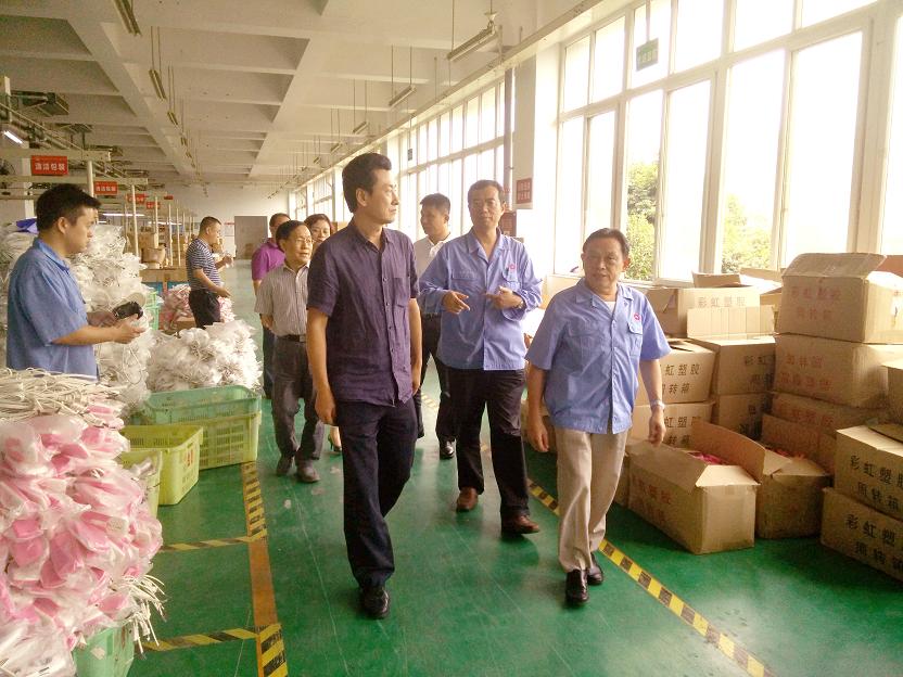 成都市安监局领导一行到成都米兰网页版·官方端在线-米兰（中国）集团进行安全检查