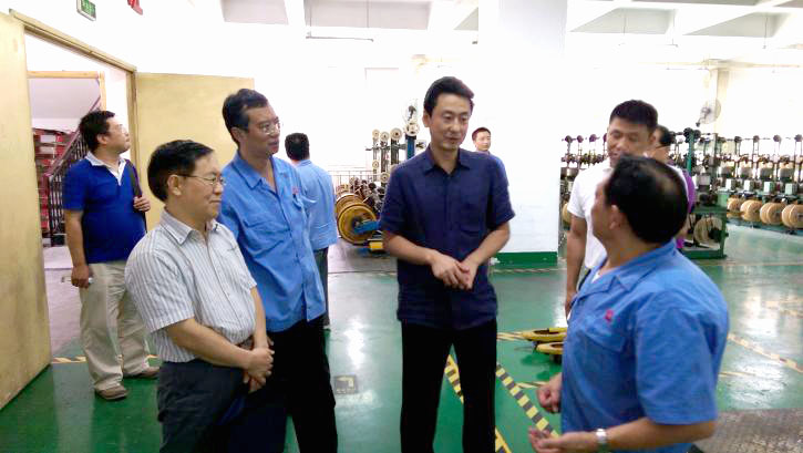 成都市安监局领导一行到成都米兰网页版·官方端在线-米兰（中国）集团进行安全检查