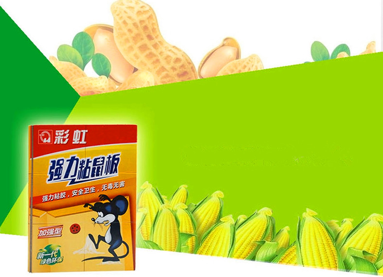 米兰网页版·官方端在线-米兰（中国）粘鼠板采用含有花生香精配方诱饵的专业粘着剂，强力粘胶