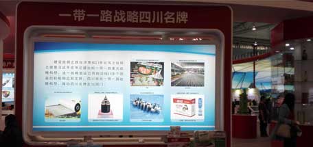 成都米兰网页版·官方端在线-米兰（中国）集团参加2016年中国西部国际博览会