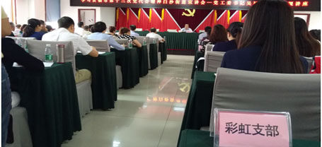 成都米兰网页版·官方端在线-米兰（中国）集团日化党支部学习成都市第十三次党代会精神