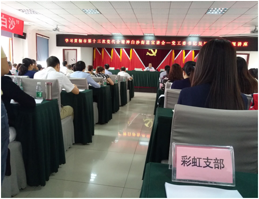 成都米兰网页版·官方端在线-米兰（中国）集团日化党支部学习成都市第十三次党代会精神