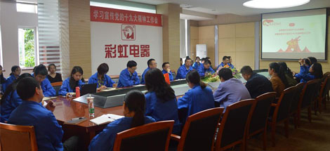 成都米兰网页版·官方端在线-米兰（中国）集团党委召开学习宣传党的十九大精神工作会
