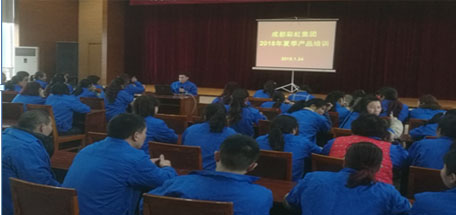 成都米兰网页版·官方端在线-米兰（中国）集团2018年夏季产品生产工艺培训