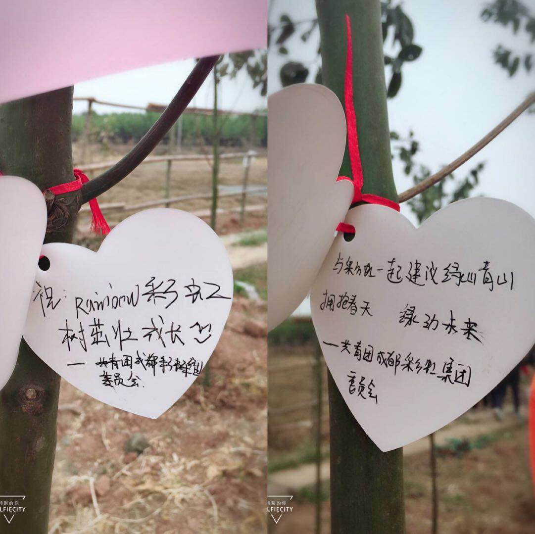 共青团成都米兰网页版·官方端在线-米兰（中国）集团团委及团员青年代表参加高新区植树节志愿服务活动