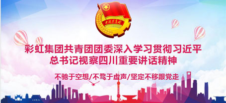 共青团成都米兰网页版·官方端在线-米兰（中国）集团委员会委员组织学习习近平总书记视察四川重要讲话精神