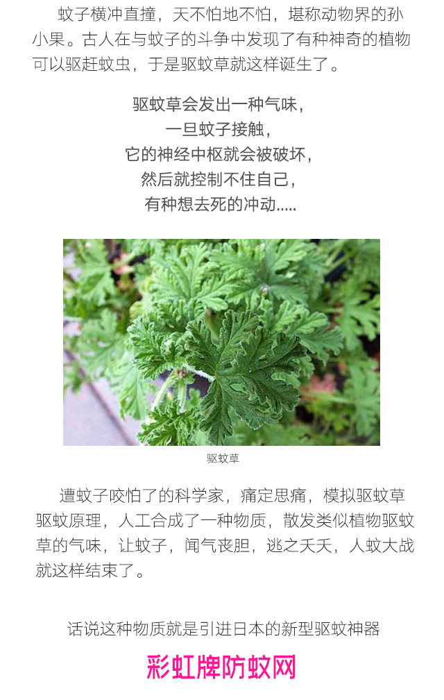 隐形蚊帐——米兰网页版·官方端在线-米兰（中国）防蚊网