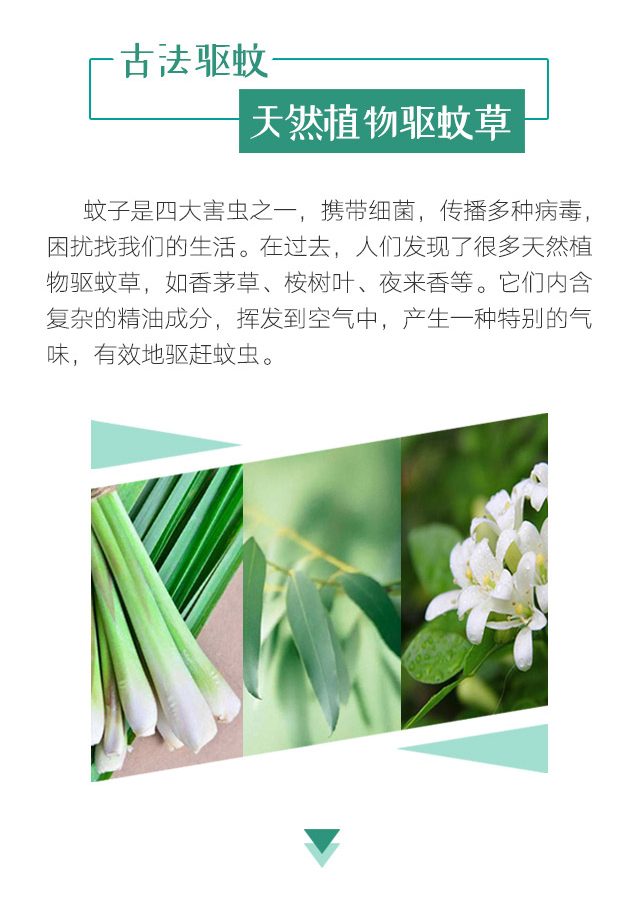 米兰网页版·官方端在线-米兰（中国）天然植物精油驱蚊贴
