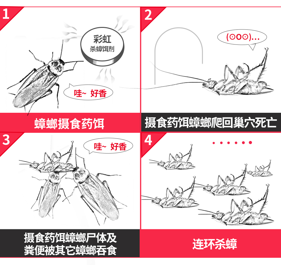 米兰网页版·官方端在线-米兰（中国）杀蟑饵剂可连环杀蟑